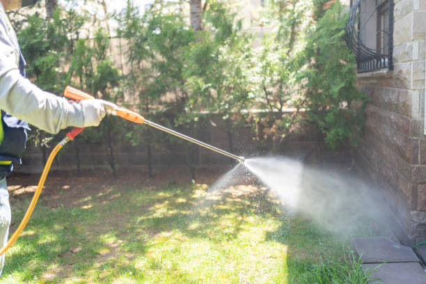 Best Pest Prevention Services  in Mulvane, KS